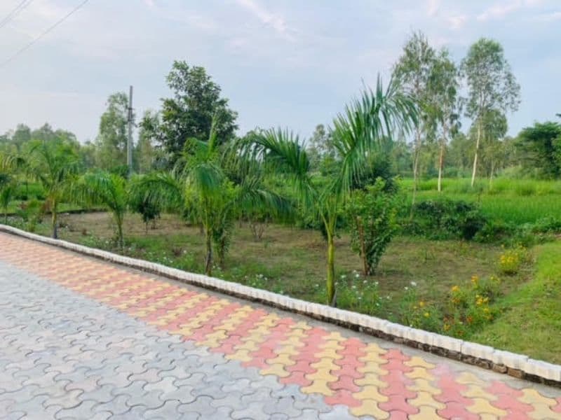 Dronacharya Ayurvedic College Saharanpur Infrastructure photo 9